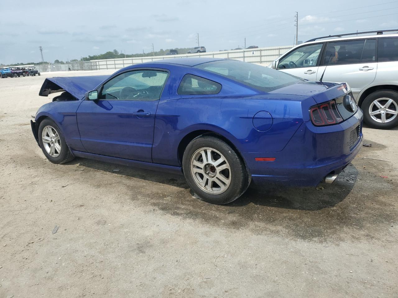 1ZVBP8AM0E5317868 2014 Ford Mustang