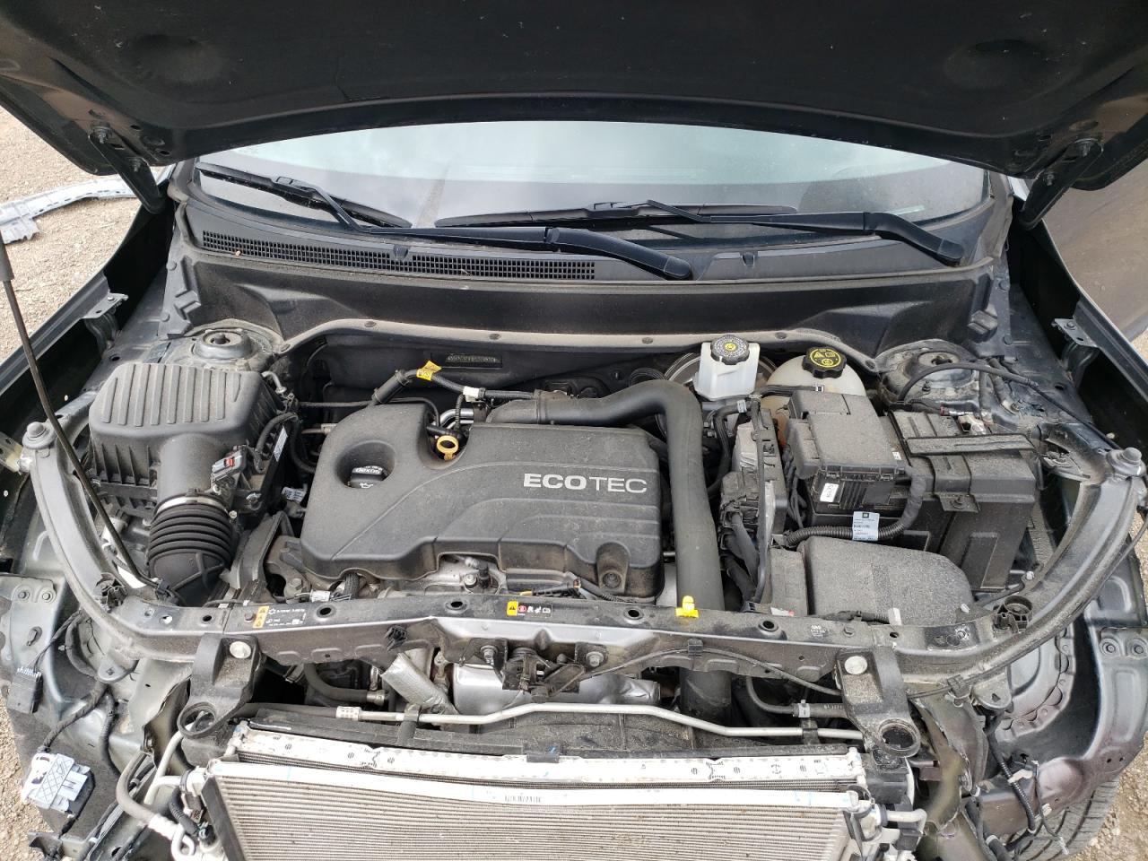 3GKALVEVXKL316531 2019 GMC Terrain Slt