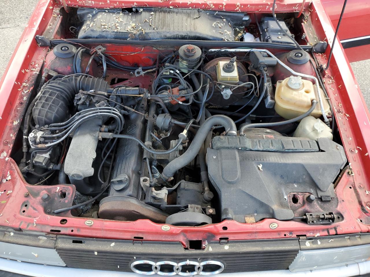 WAUBD0853FA115267 1985 Audi Custom