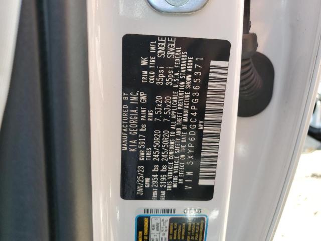 2023 Kia Telluride S VIN: 5XYP6DGC4PG365371 Lot: 56276934