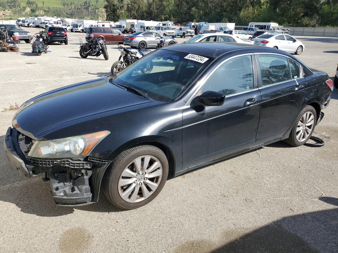 1HGCP2F73BA036174 2011 Honda Accord Ex