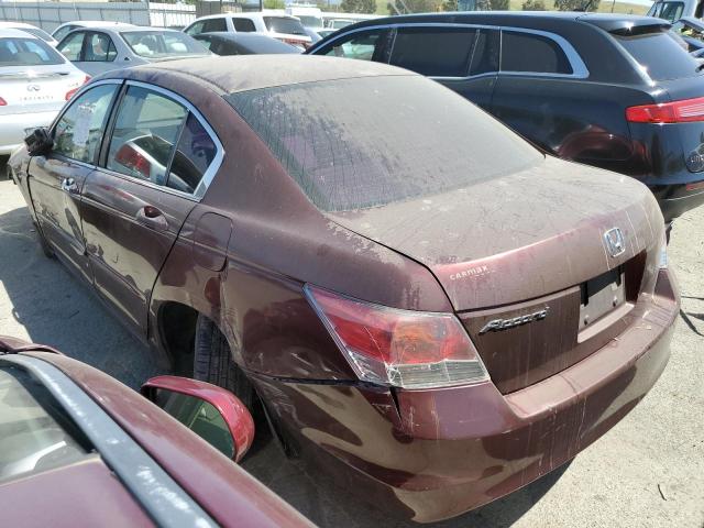 2008 Honda Accord Lxp VIN: JHMCP26458C035320 Lot: 54026364