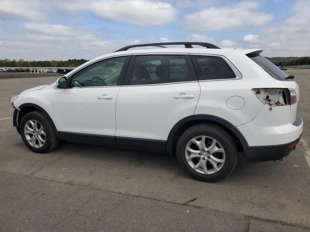 2011 Mazda Cx-9 VIN: JM3TB2CA4B0319984 Lot: 54332134