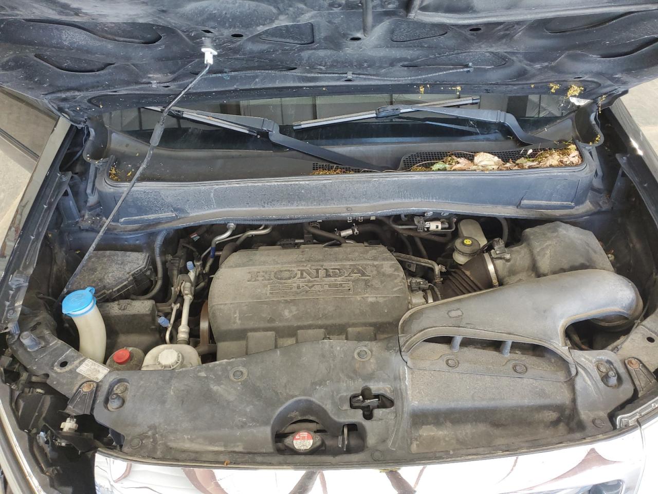 5FNYF4H77CB031813 2012 Honda Pilot Exln