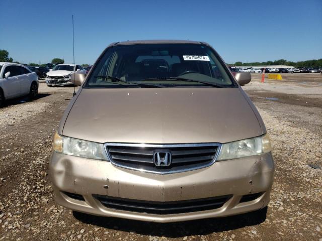 2002 Honda Odyssey Exl VIN: 2HKRL18082H557785 Lot: 49790674