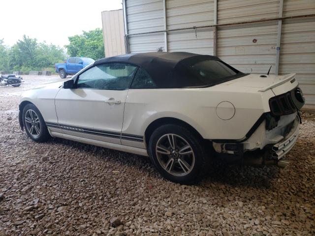 2013 Ford Mustang VIN: 1ZVBP8EM0D5233770 Lot: 54891534