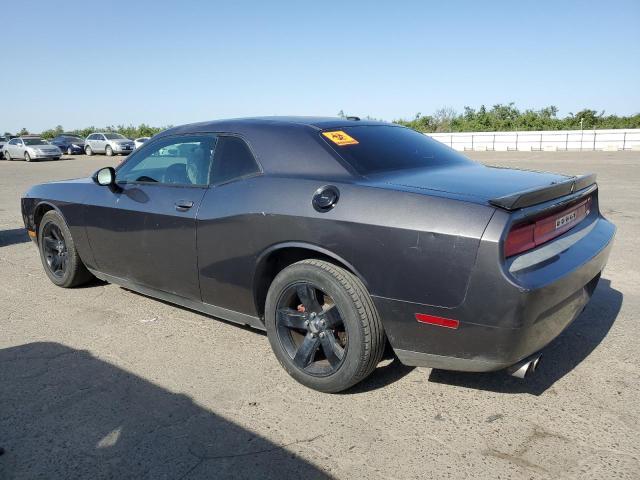 2013 Dodge Challenger R/T VIN: 2C3CDYBT3DH741823 Lot: 55973964