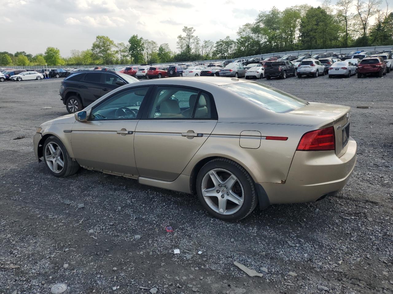 19UUA66246A036207 2006 Acura 3.2Tl