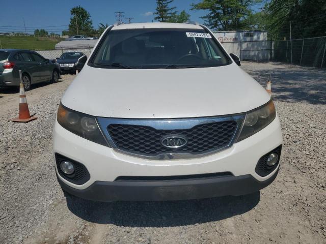 2011 Kia Sorento Base VIN: 5XYKTDA17BG155754 Lot: 55829194