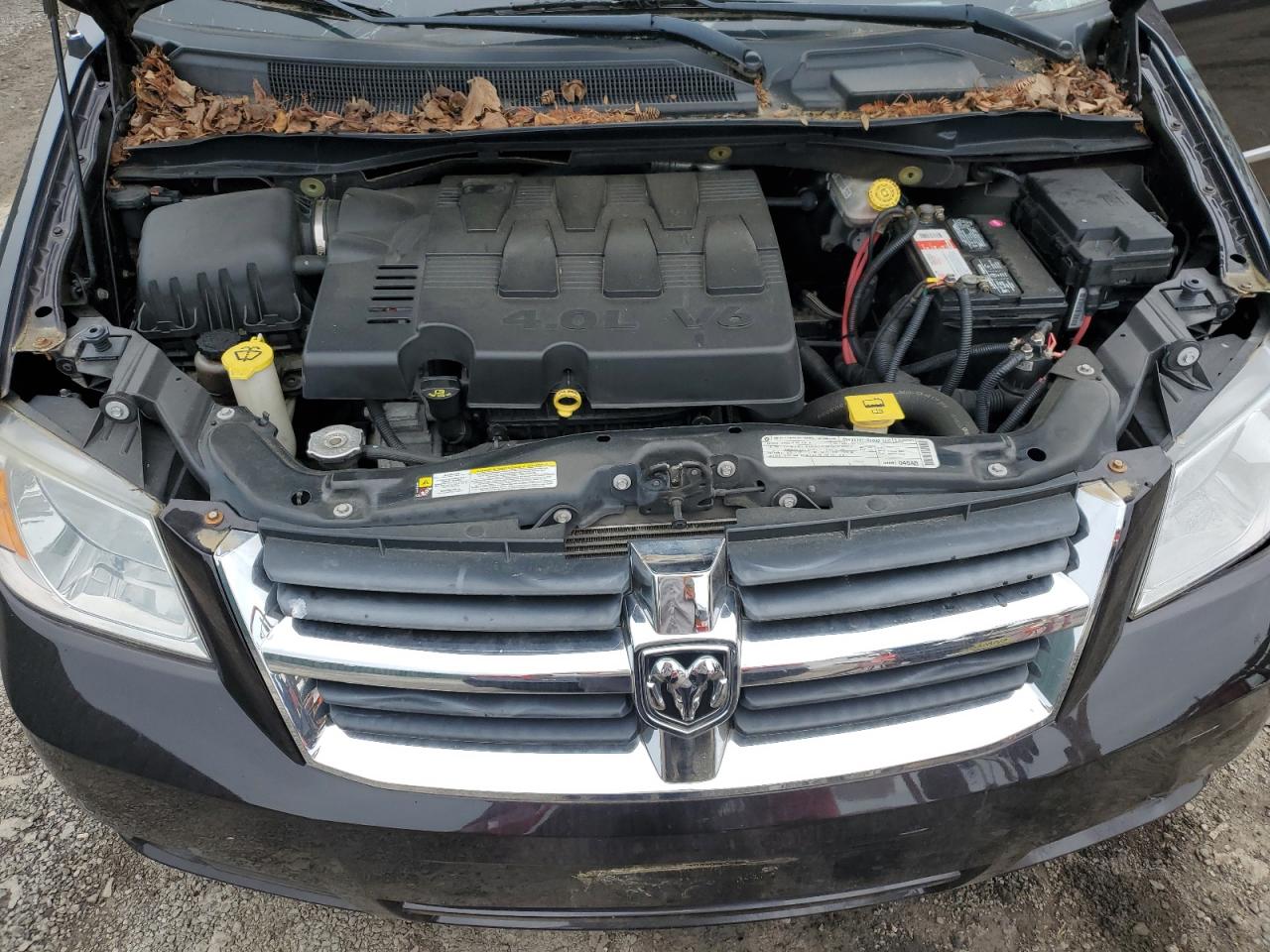 2D4RN5DX7AR420281 2010 Dodge Grand Caravan Sxt