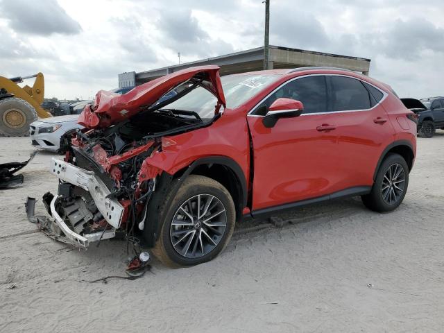 2024 Lexus Nx 250 Base VIN: 2T2ADCAZ6RC013762 Lot: 61928314