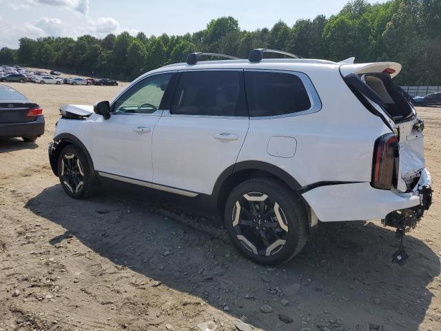 2024 Kia Telluride Ex VIN: 5XYP34GC9RG441291 Lot: 54010534