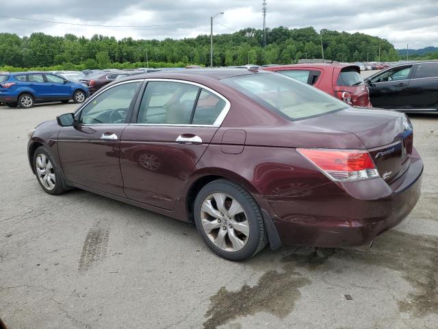 2010 Honda Accord Exl VIN: 5KBCP3F81AB007437 Lot: 54081254