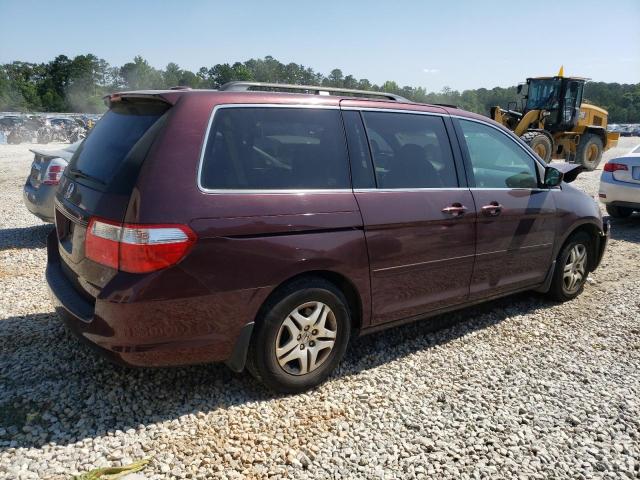 2007 Honda Odyssey Exl VIN: 5FNRL38707B090635 Lot: 55895674