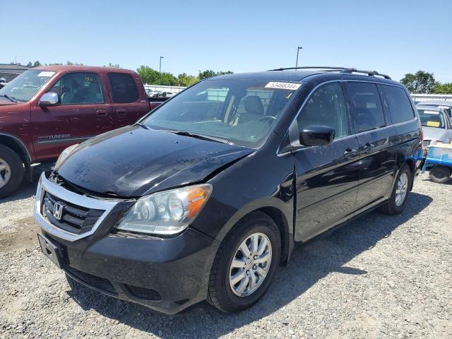 2009 Honda Odyssey Exl VIN: 5FNRL38779B002070 Lot: 53466344