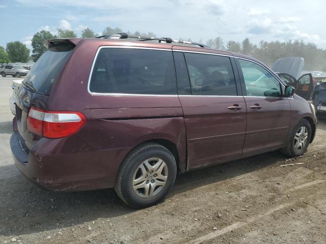 2007 Honda Odyssey Exl VIN: 5FNRL38607B418692 Lot: 56161694