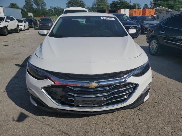 2019 CHEVROLET MALIBU LT - 1G1ZD5ST9KF168020