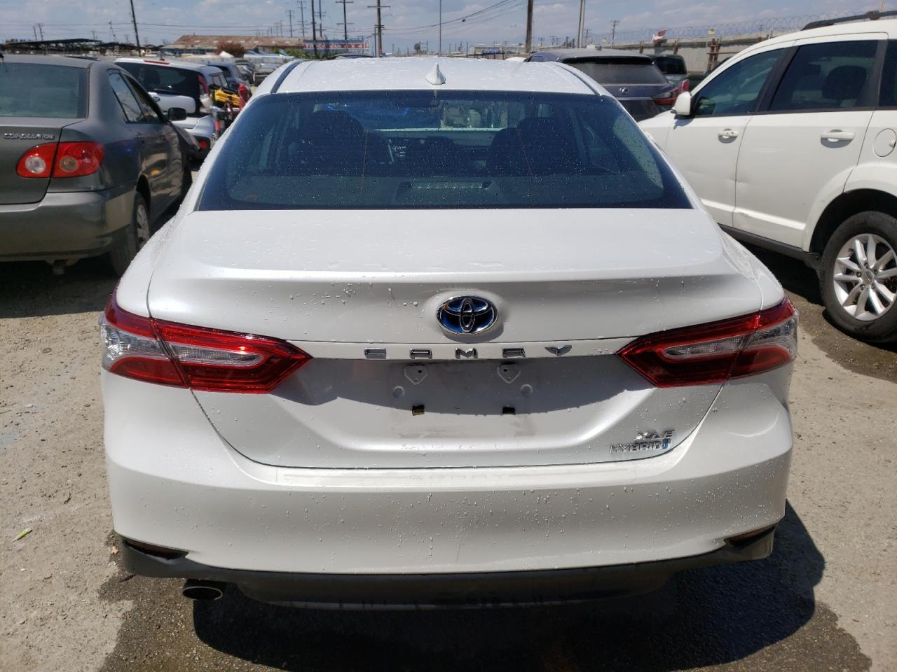4T1F31AK4LU531556 2020 Toyota Camry Xle