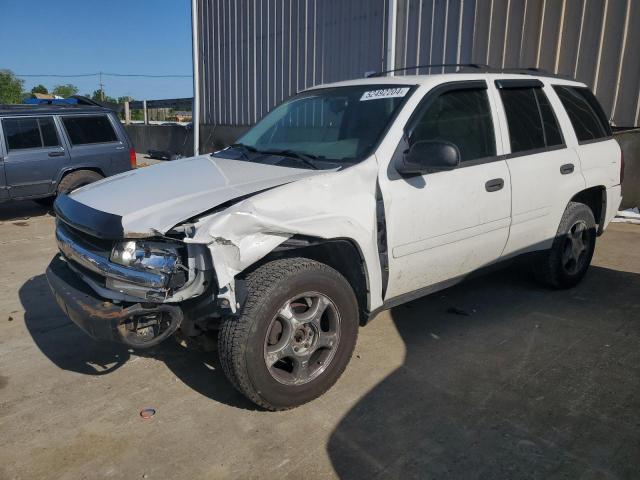 2008 Chevrolet Trailblazer Ls VIN: 1GNDT13S082262880 Lot: 52492204