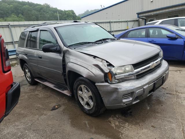 2005 Chevrolet Trailblazer Ls VIN: 1GNDT13S152106990 Lot: 56403824