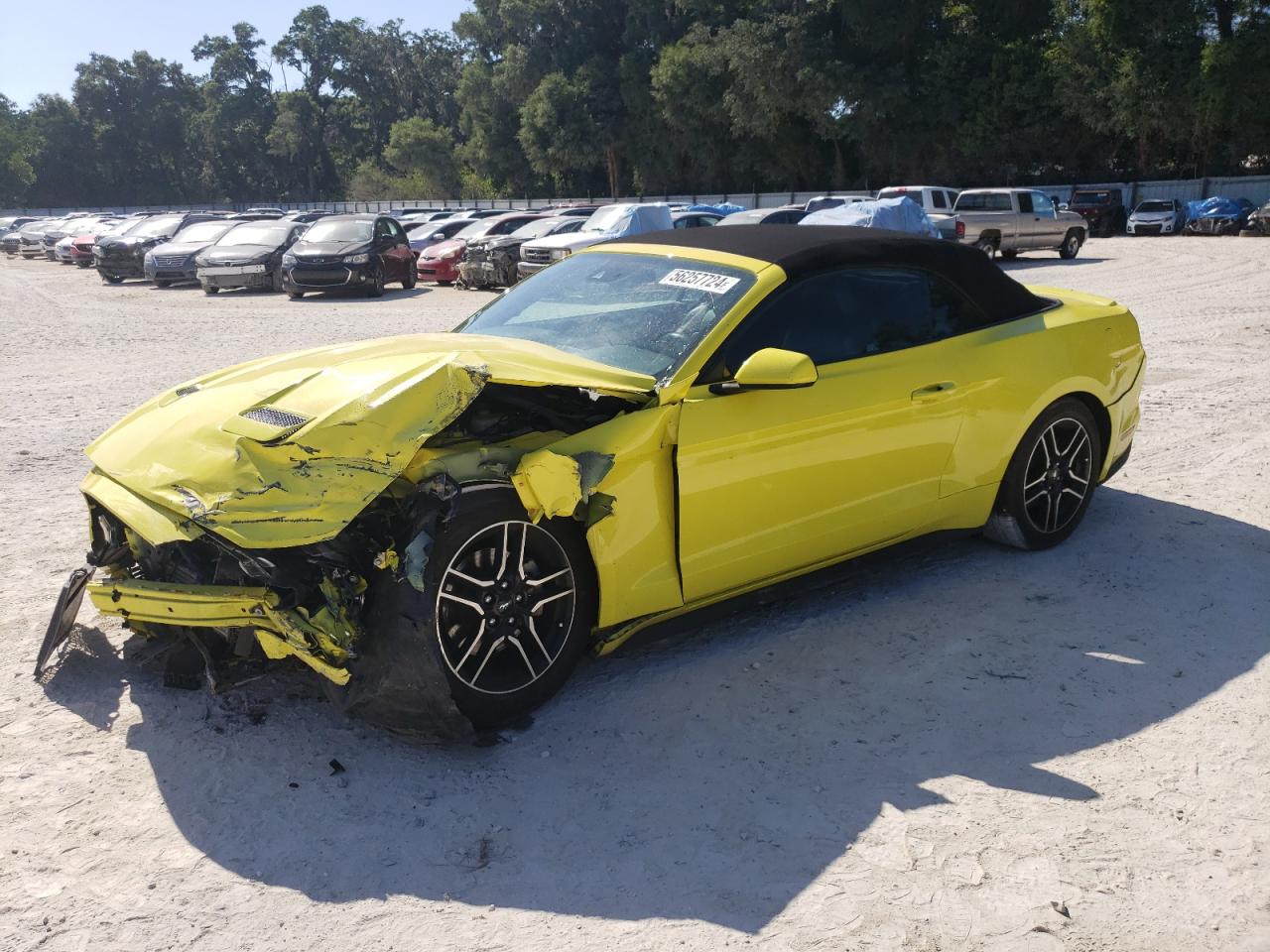 VIN: 1FATP8UH0M5111900 2021 FORD ALL Models