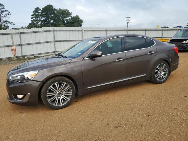 2014 Kia Cadenza Premium VIN: KNALN4D79E5166411 Lot: 56584744