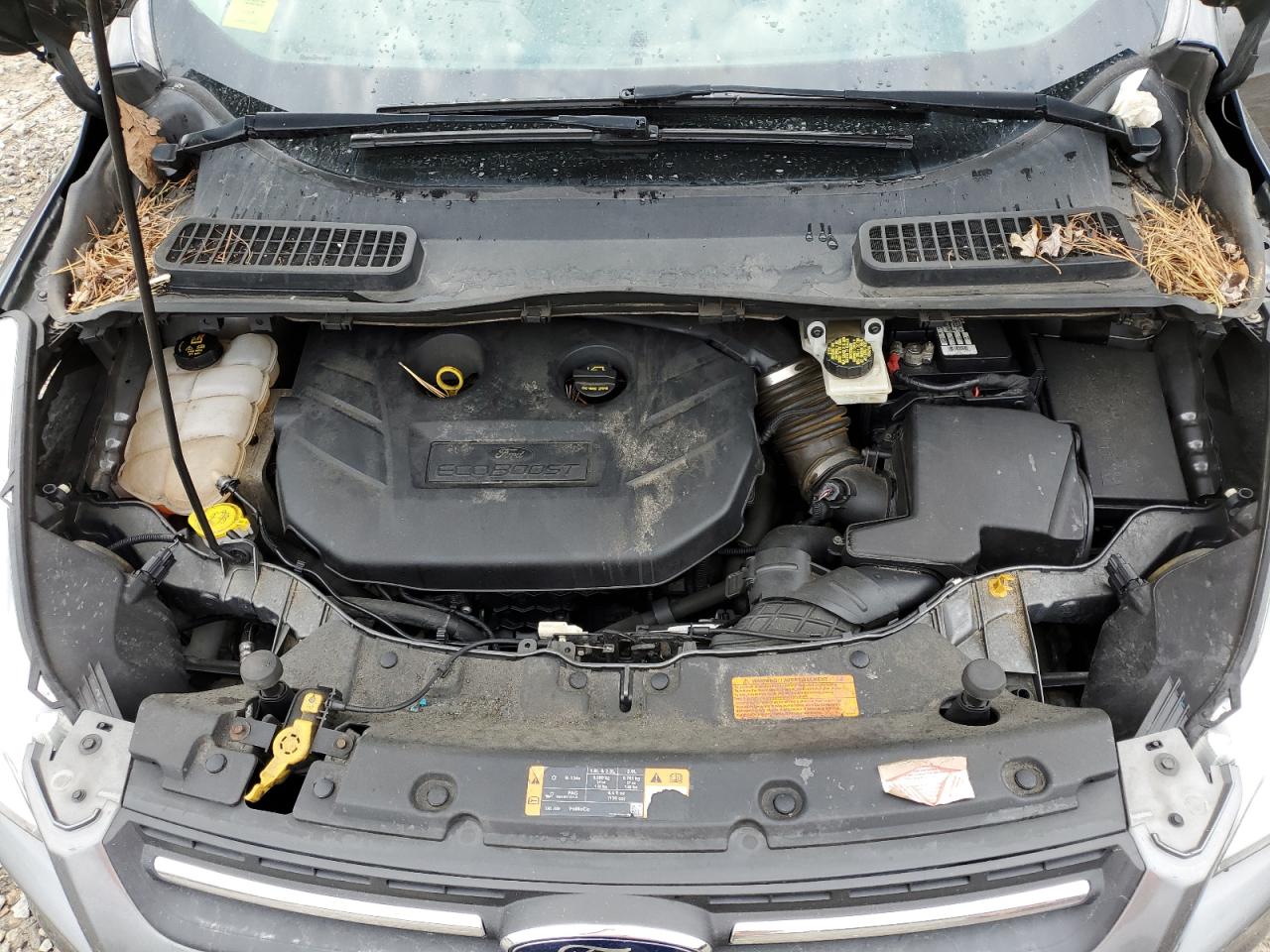 1FMCU9G97EUD32510 2014 Ford Escape Se