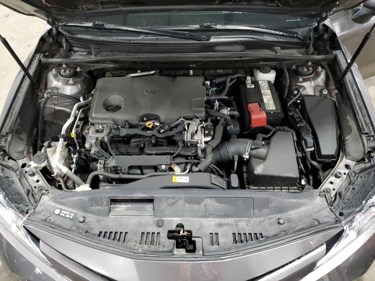 4T1B11HK4KU721981 2019 Toyota Camry L