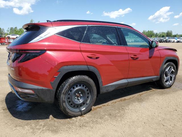 2023 Hyundai Tucson Luxury VIN: KM8JCCA19PU086234 Lot: 56192814