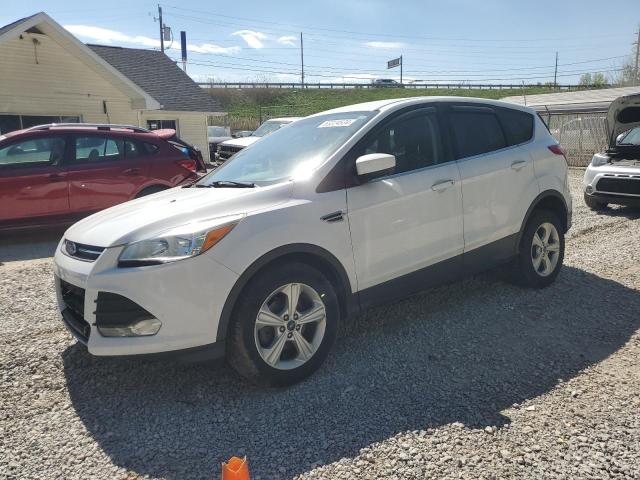 2014 Ford Escape Se VIN: 1FMCU0GX1EUD15017 Lot: 53224534