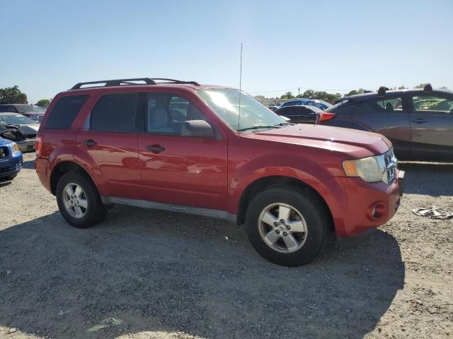 2010 Ford Escape Xlt VIN: 1FMCU0DG1AKB96475 Lot: 54759964