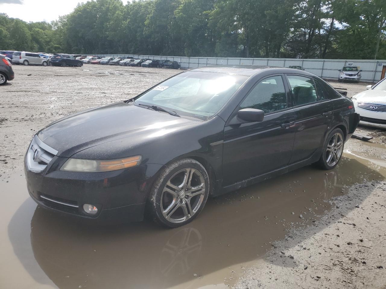 19UUA66285A033566 2005 Acura Tl