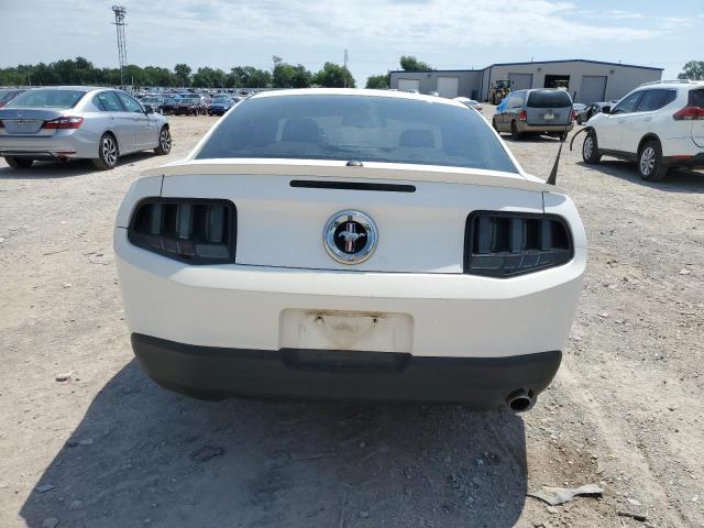 2010 Ford Mustang VIN: 1ZVBP8AN9A5105053 Lot: 55036874