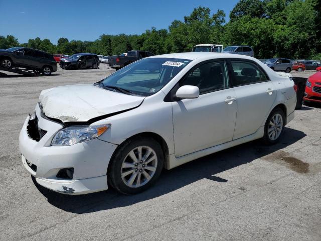 2010 Toyota Corolla Base VIN: 1NXBU4EE9AZ233972 Lot: 56613004