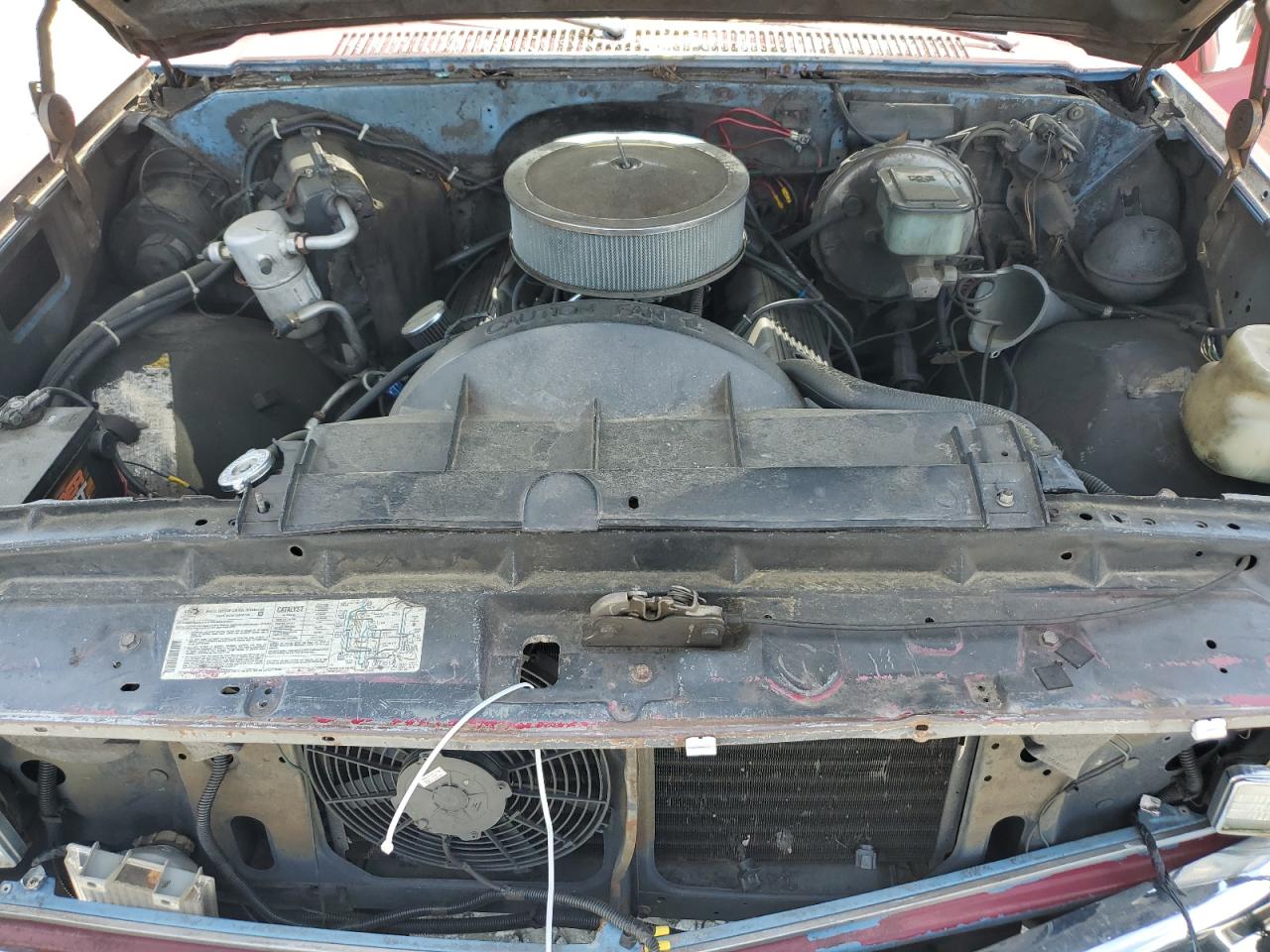 1GCDC14H1EF341443 1984 Chevrolet C10