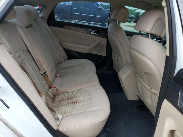 2015 Hyundai Sonata Sport VIN: 5NPE34AF1FH099611 Lot: 56185574