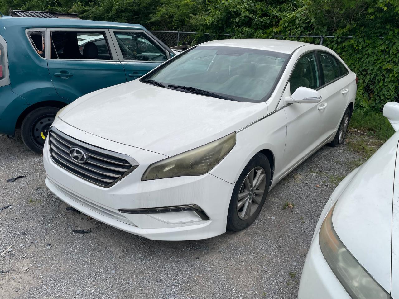 5NPE24AA7GH414940 2016 Hyundai Sonata Eco