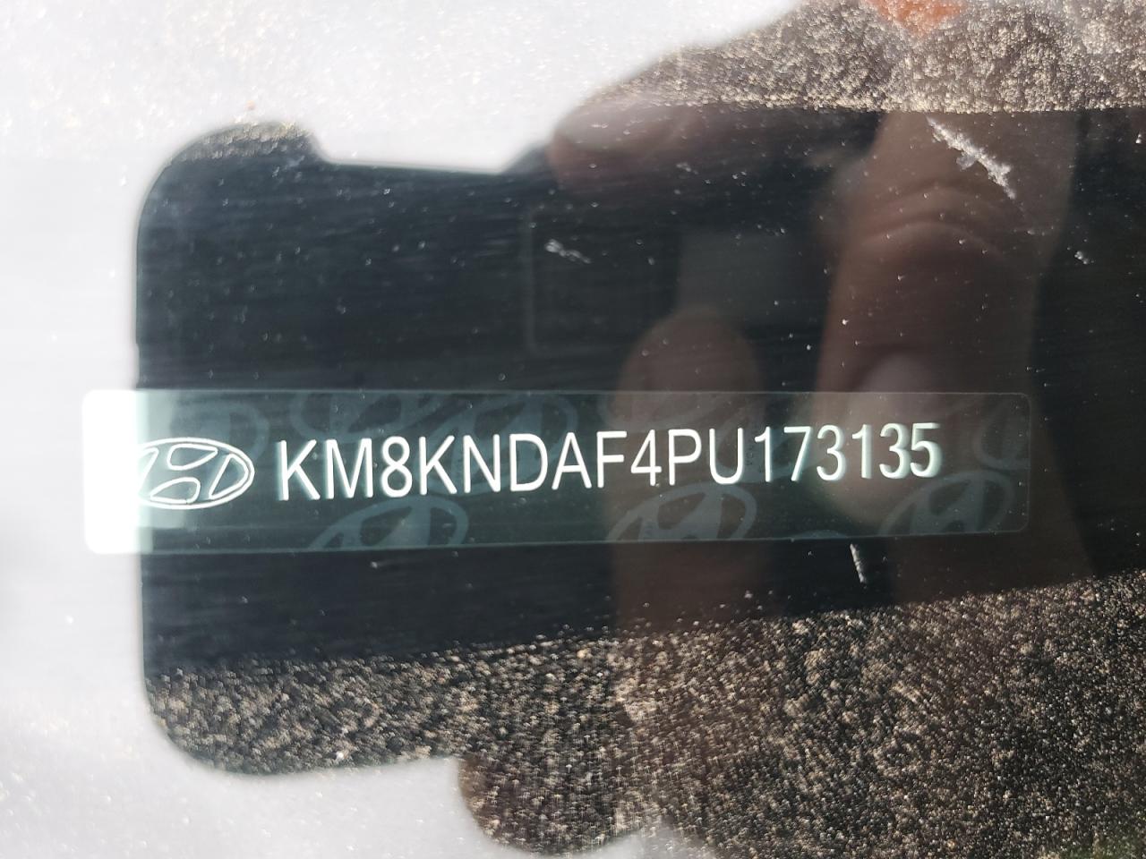 KM8KNDAF4PU173135 2023 Hyundai Ioniq 5 Sel