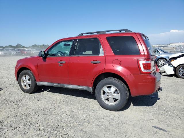 2010 Ford Escape Xlt VIN: 1FMCU0DG1AKB96475 Lot: 54759964