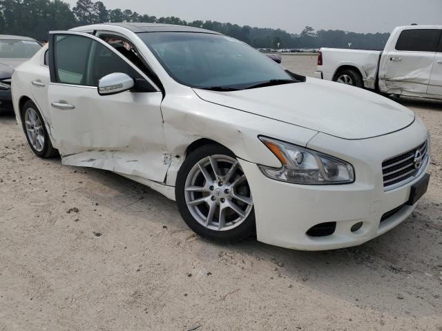 2009 Nissan Maxima S VIN: 1N4AA51EX9C858862 Lot: 54199444