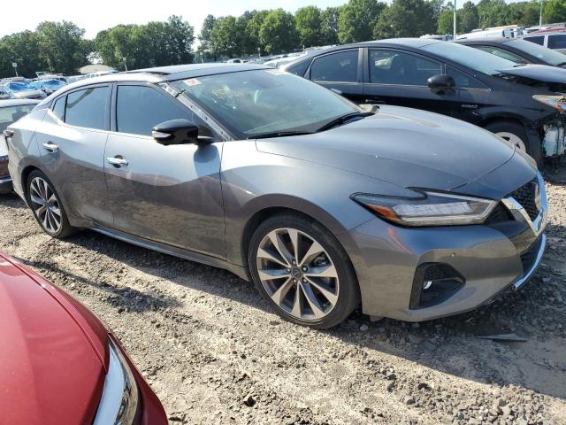 2023 Nissan Maxima Platinum VIN: 1N4AA6FV6PC503344 Lot: 51178774