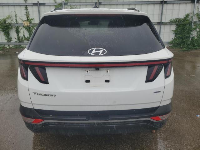 2023 Hyundai Tucson Sel VIN: 5NMJBCAE9PH216725 Lot: 53816204