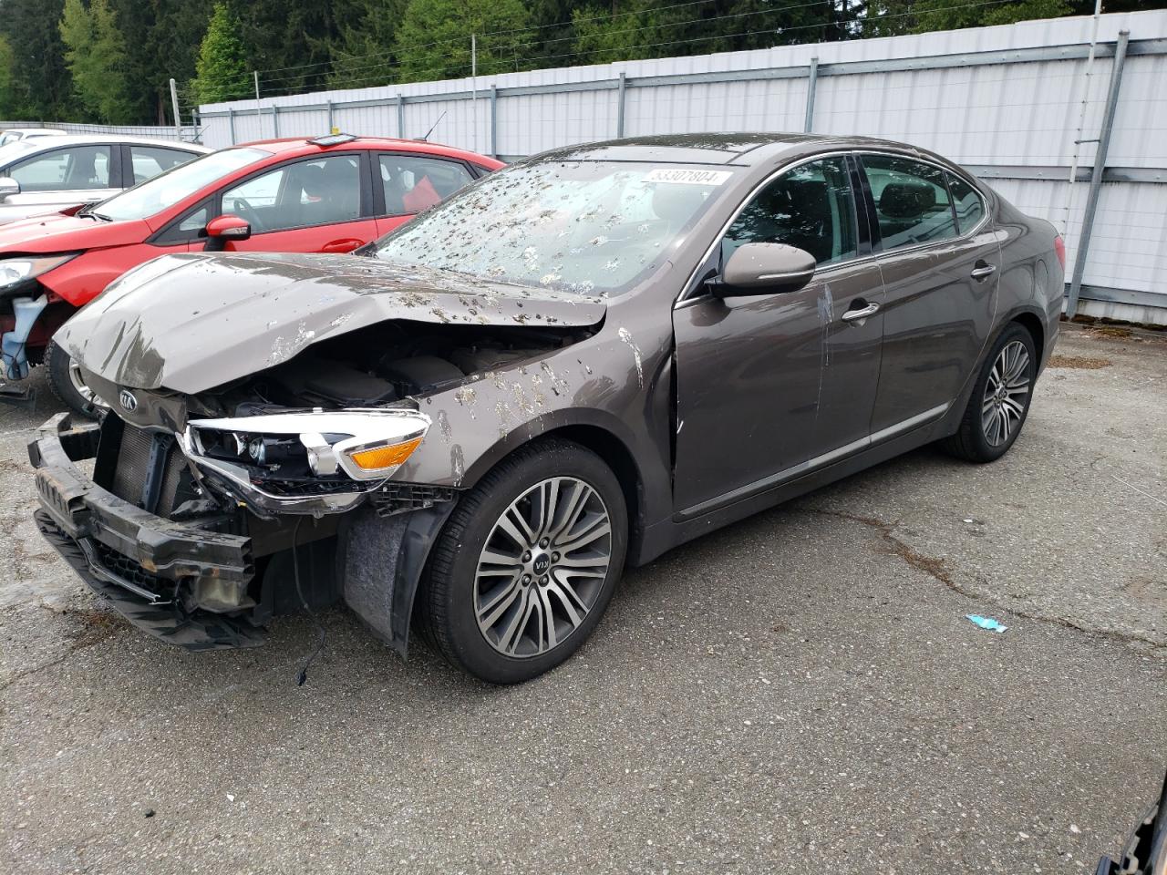 KNALN4D79E5156560 2014 Kia Cadenza Premium