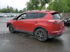 TOYOTA RAV4 SE photo