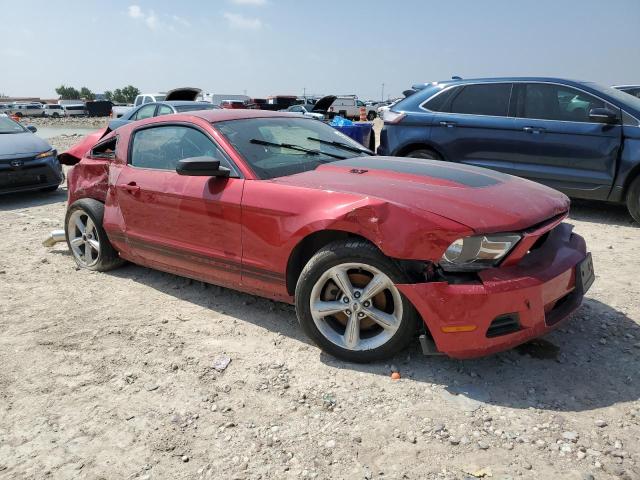 2012 Ford Mustang VIN: 1ZVBP8AM8C5252703 Lot: 54009484