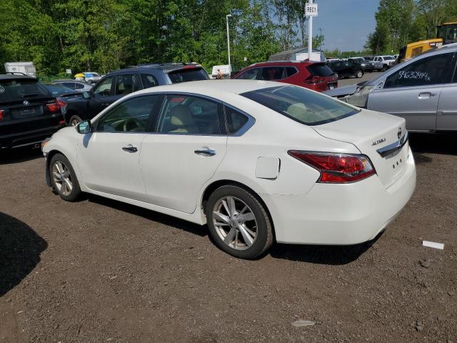 2014 Nissan Altima 2.5 VIN: 1N4AL3AP3EC117009 Lot: 54929644