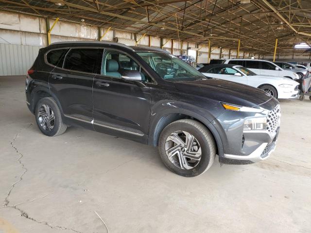 2023 Hyundai Santa Fe Sel Premium VIN: 5NMS3DAJ3PH599792 Lot: 55690434