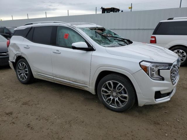 2024 GMC Terrain Denali VIN: 3GKALXEG0RL207745 Lot: 55007584