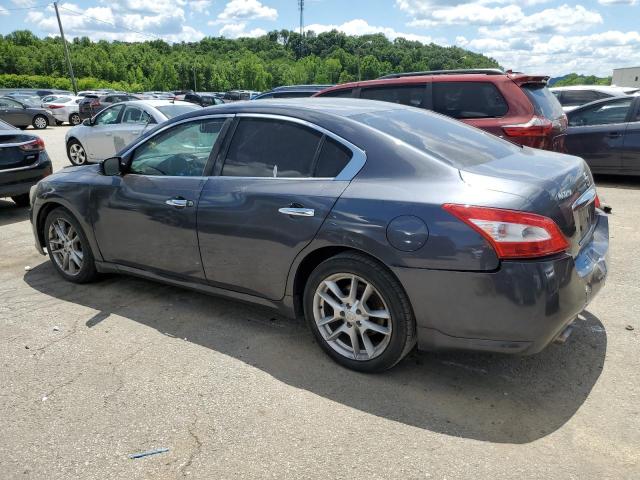 2010 Nissan Maxima S VIN: 1N4AA5AP9AC830573 Lot: 56500324