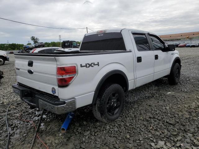 2010 Ford F150 Supercrew VIN: 1FTEW1E82AFC42022 Lot: 54404534